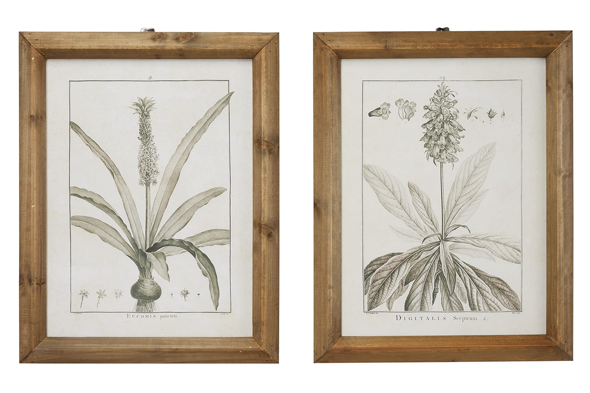 Deco 79 Wood Leaf Framed Wall Art with Brown Frame, 2 Count(Pack of 1) 17"W, 22"H, Light Brown Deco 79