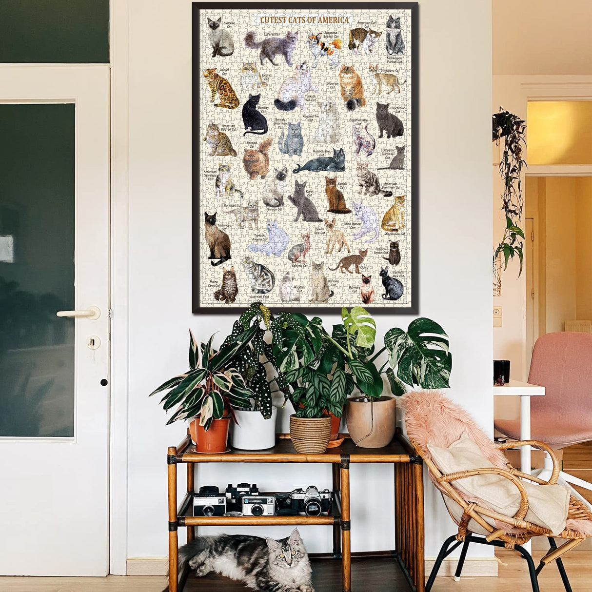 Cat Puzzles for Adults 1000 Pieces and Up,Vintage Kitty Puzzles for Adults, Animal Feline Jigsaw Puzzle Kittens PICKFORU