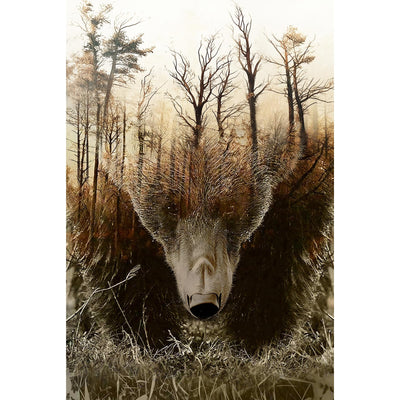 WOZUIBAN Adult Puzzle Classic Jigsaw Puzzle 1000 Pieces Wooden Puzzle DIY Forest Map Bear Modern Home Decor Unique Gift Intellectual Game 75x50cm