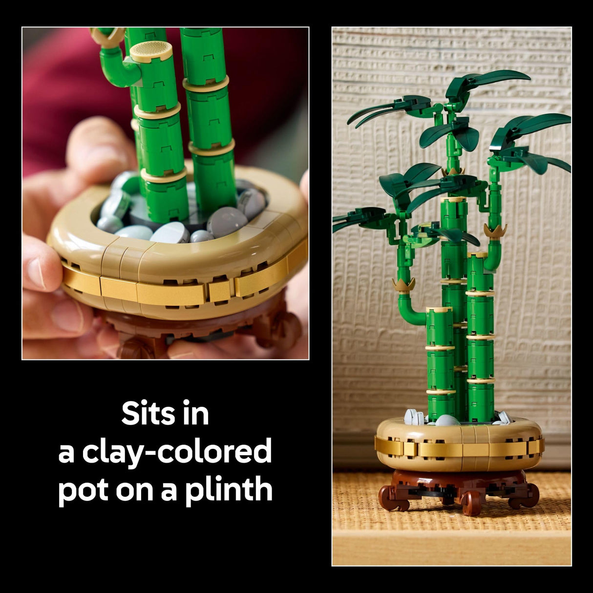 LEGO Botanicals Lucky Bamboo Building Set - Artificial Plant for Indoor Home Décor, Adults Ages 18+ - Fake Plant Decoration for Table, Desk, Office - Unique Gift for Her & Him - 10344 LEGO