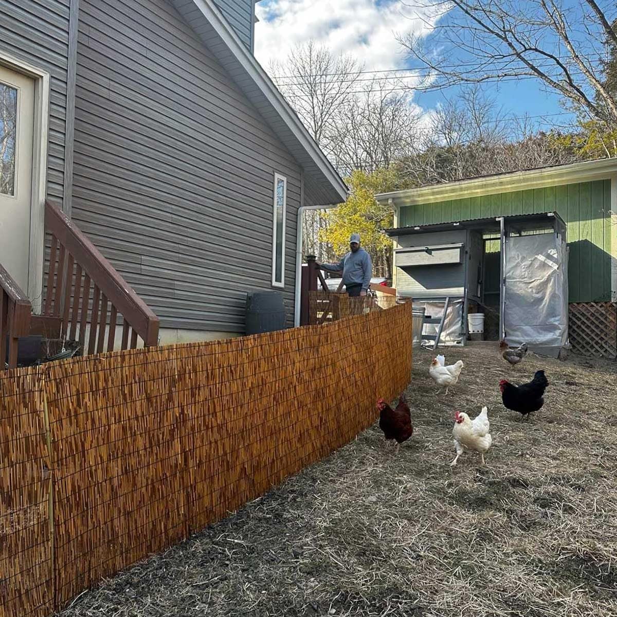 Generic Bamboo Fence Rolls 1 feet to 6 feet high,Bamboo Screen Fencing,Bamboo Fencing Privacy Bamboo Screening for Outdoor,Patio WoodArtSupply