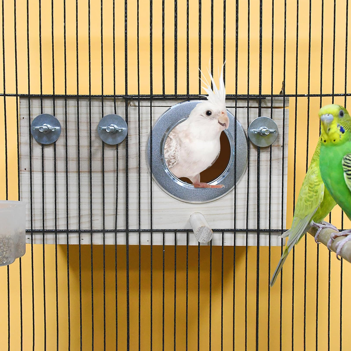 ShuRung Parrot Nesting Box Cockatiel Nesting Box Bird Breeding Box House Handcrafted Wooden Acrylic Transparent Bird Box with Detachable Wooden Board for Parakeets Cockatiel Budgie Conure Parrot XL ShuRung