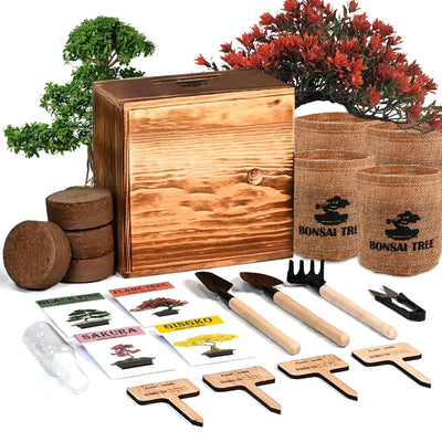 4 Bonsai Tree Seeds with Complete Growing Kit & Wooden Planter Box, Indoor Bonsai Tree Starter Kit, Great Potted Plants DIY Gift for Adults