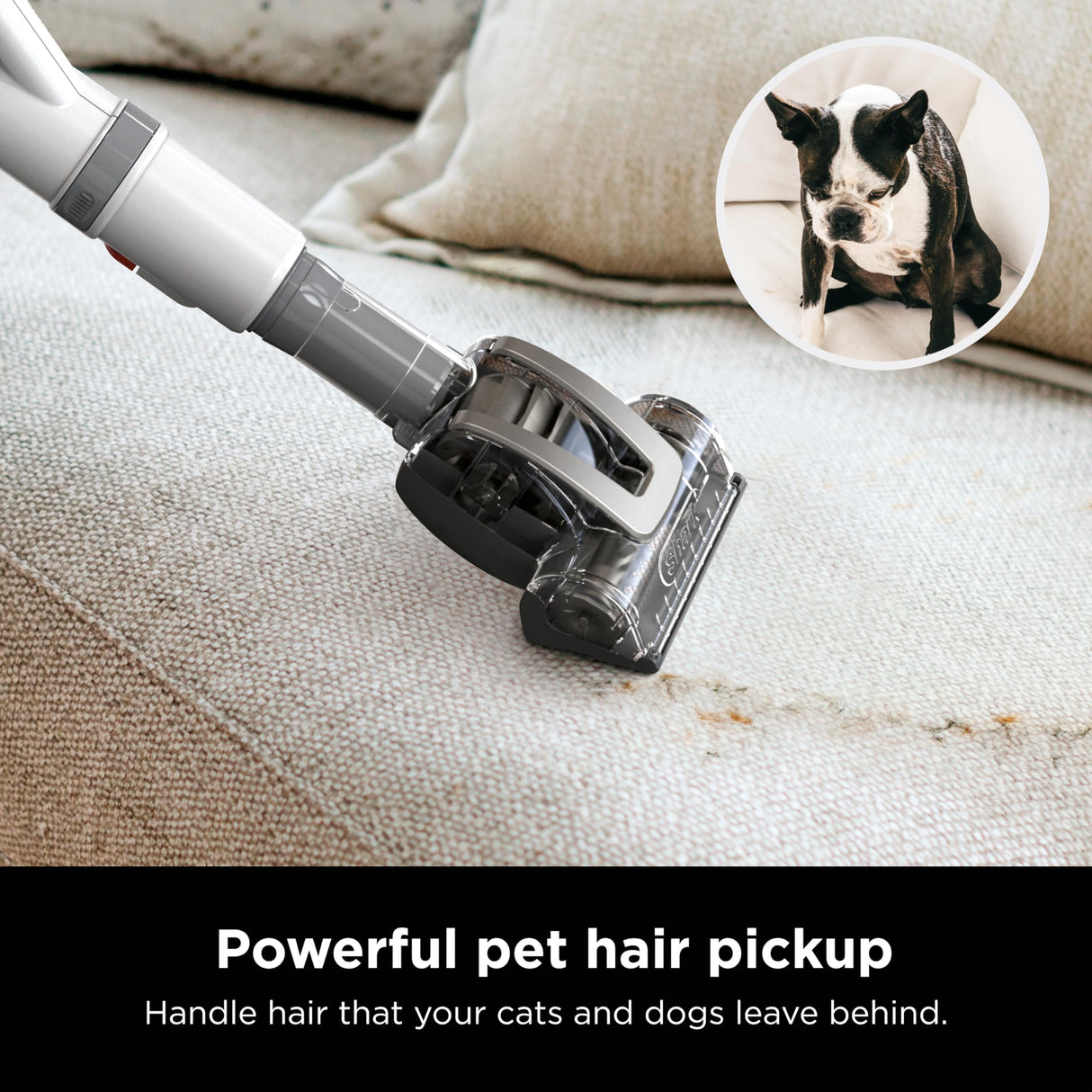 Shark Upright Vacuum, Navigator Lift-Away with Swivel Steering, HEPA Filter, XL Dust Cup, Pet Power, Dusting Brush, and Crevice Tool, Perfect for Pet Hair, White/Silver, NV356E Shark