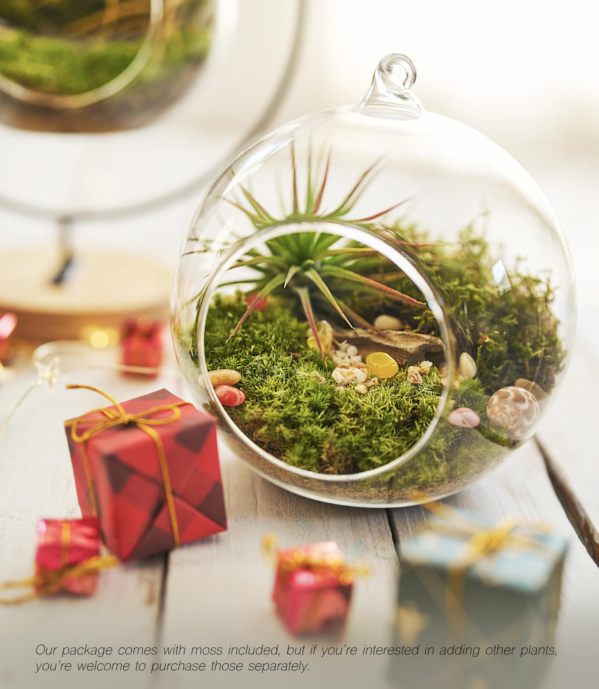 15-Piece Terrarium Kit with Live Moss – DIY Glass Globe Set with Tools, Soil, Stones & Spray Bottle – Indoor Mini Garden Gift for Plant Lovers, Home Decor & Zen Craft LUCKYRUNES