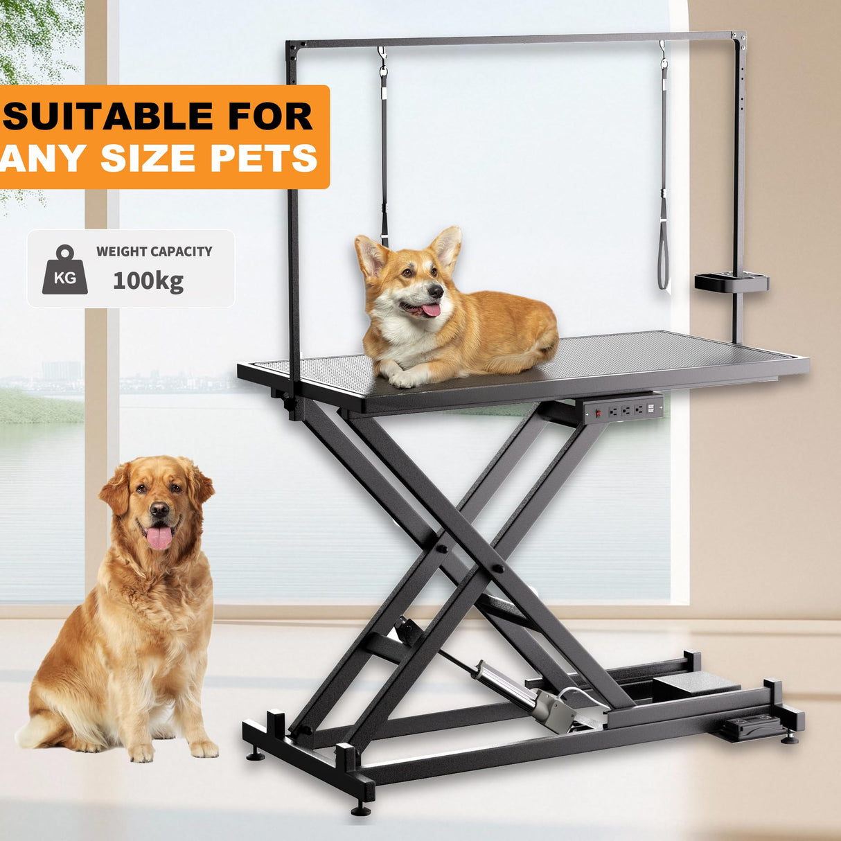 Goldshire Professional Electric Lift Dog Grooming Table, 50 Inch Heavy Duty Pet Grooming Station with Roller, Adjustable Overhead Arms and Tool Organizer Suitable for Home and Commercial Use Goldshire