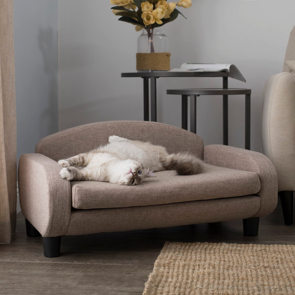 Paws & Purrs Modern Pet Sofa 31.5" Wide Low Back Lounging Bed with Removable Mattress Cover in Espresso/Sand Paws & Purrs