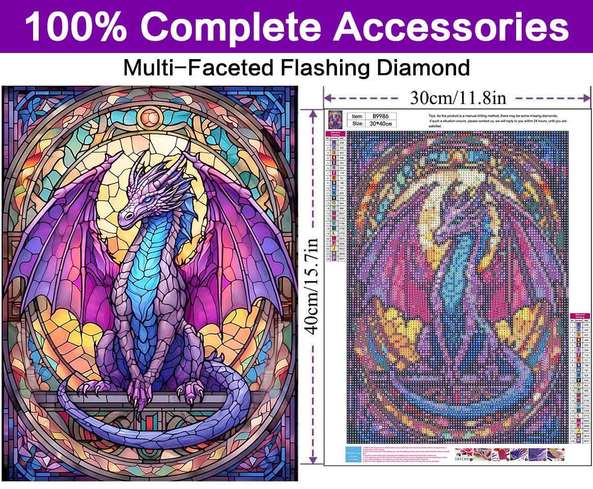 croshom Dragon Gem Art Kits for Adults, DIY Diamond Painting Kits for Gift Idea and Wall Decor 12x16in croshom