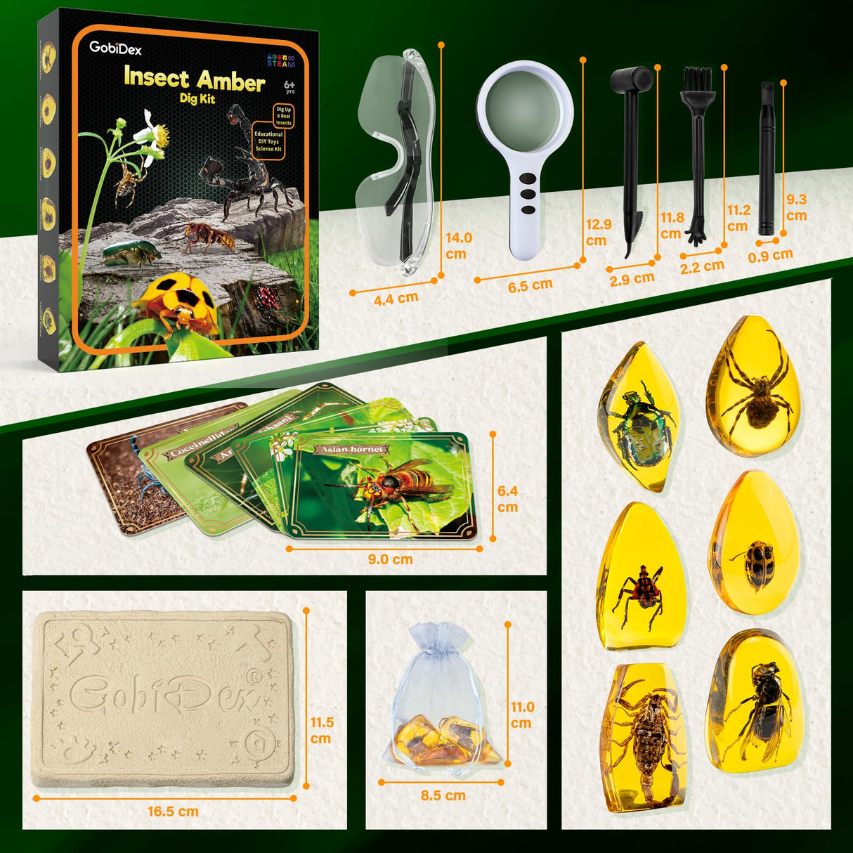 GobiDex Amber Dig Kit-Artificial Insect Resin, Excavate 6 Insects Specimens, STEM Geographic Educational Bugs Toys, Excavation Toys for Fun Bugs Party Favors, Science Kits for Kids Age 6-8 8-12 GobiDex