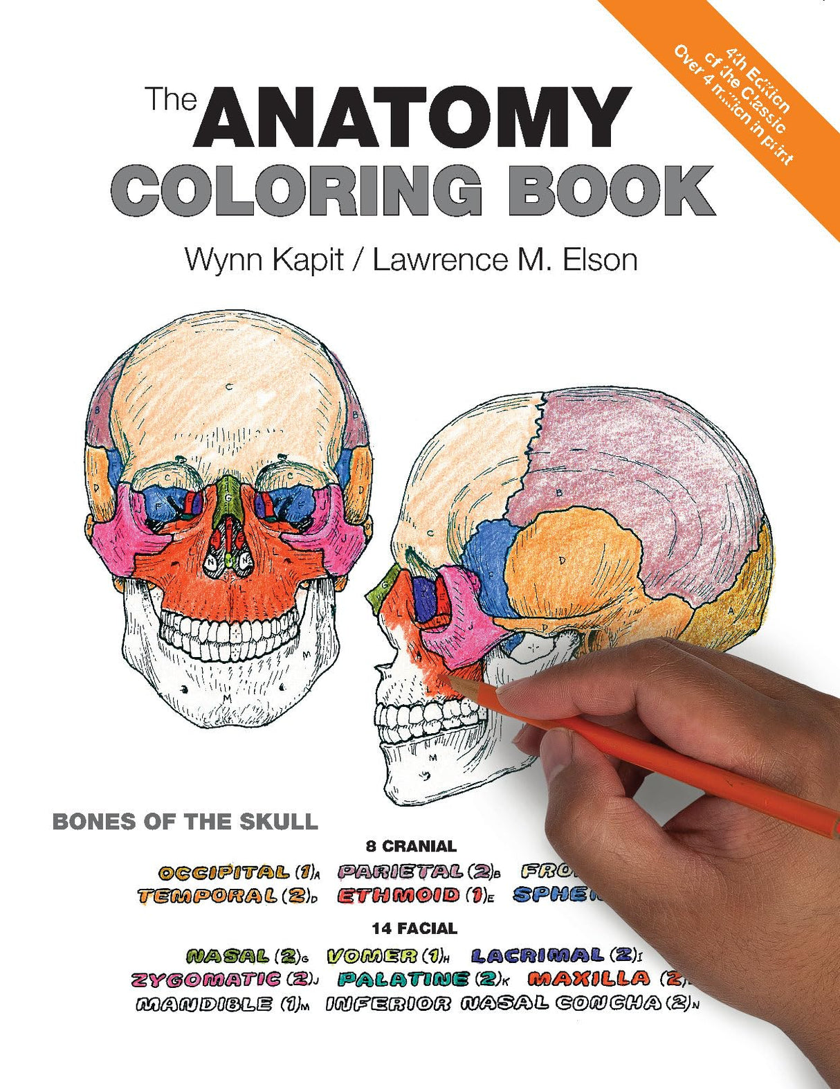 Anatomy Coloring Book, The Pearson