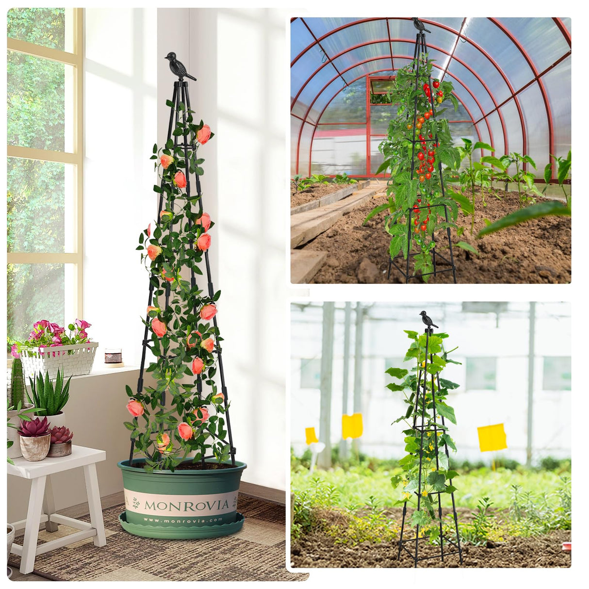 MQHUAYU 2 Pack Garden Obelisk Trellis for Climbing Plants Outdoors, 65 Inch Rustproof Plant Stand Climbing Support with Adjustable Heights for Indoor Potted Plants, Vines, Flowers Stands, Vegetables MQHUAYU