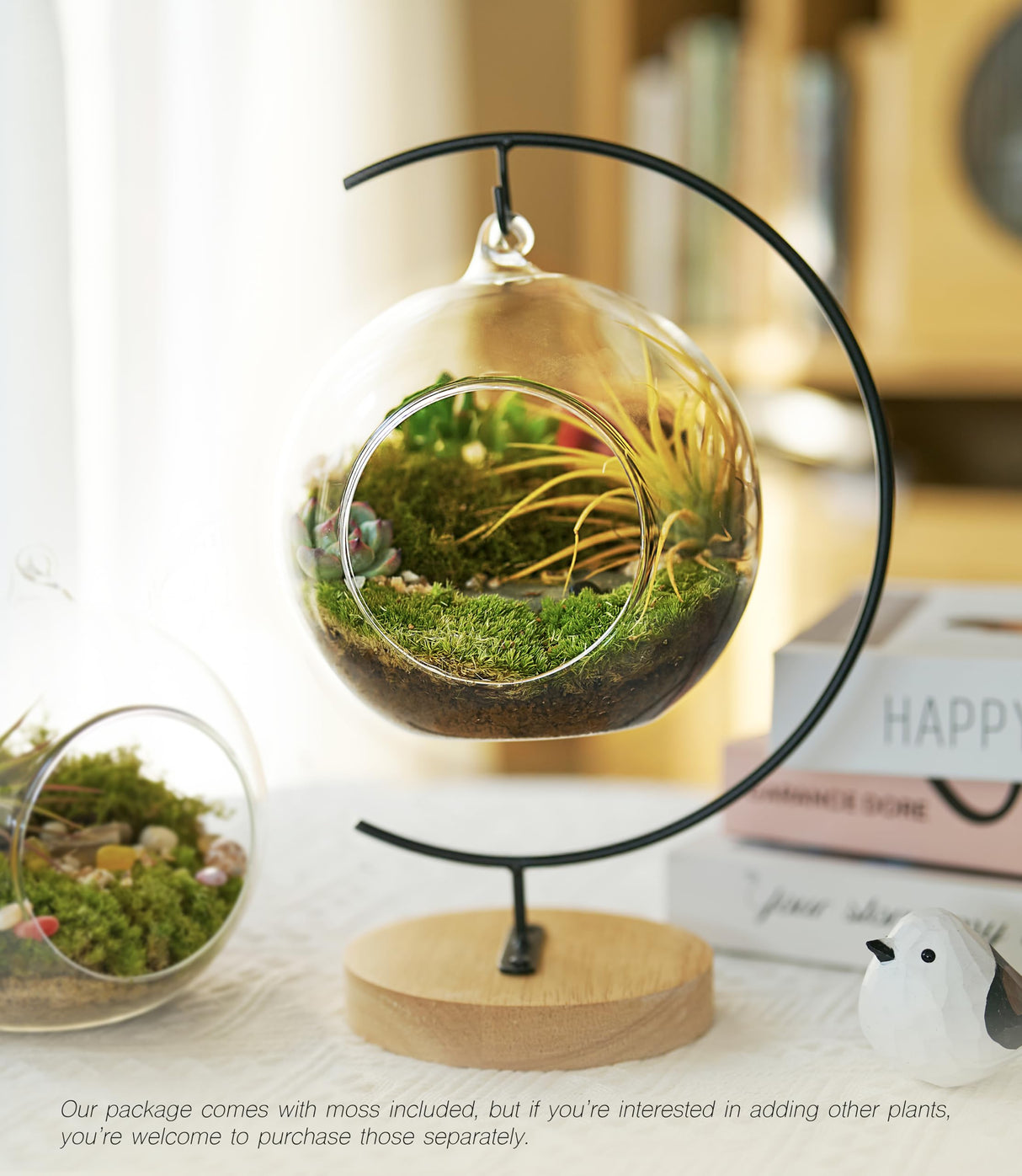 15-Piece Terrarium Kit with Live Moss – DIY Glass Globe Set with Tools, Soil, Stones & Spray Bottle – Indoor Mini Garden Gift for Plant Lovers, Home Decor & Zen Craft LUCKYRUNES