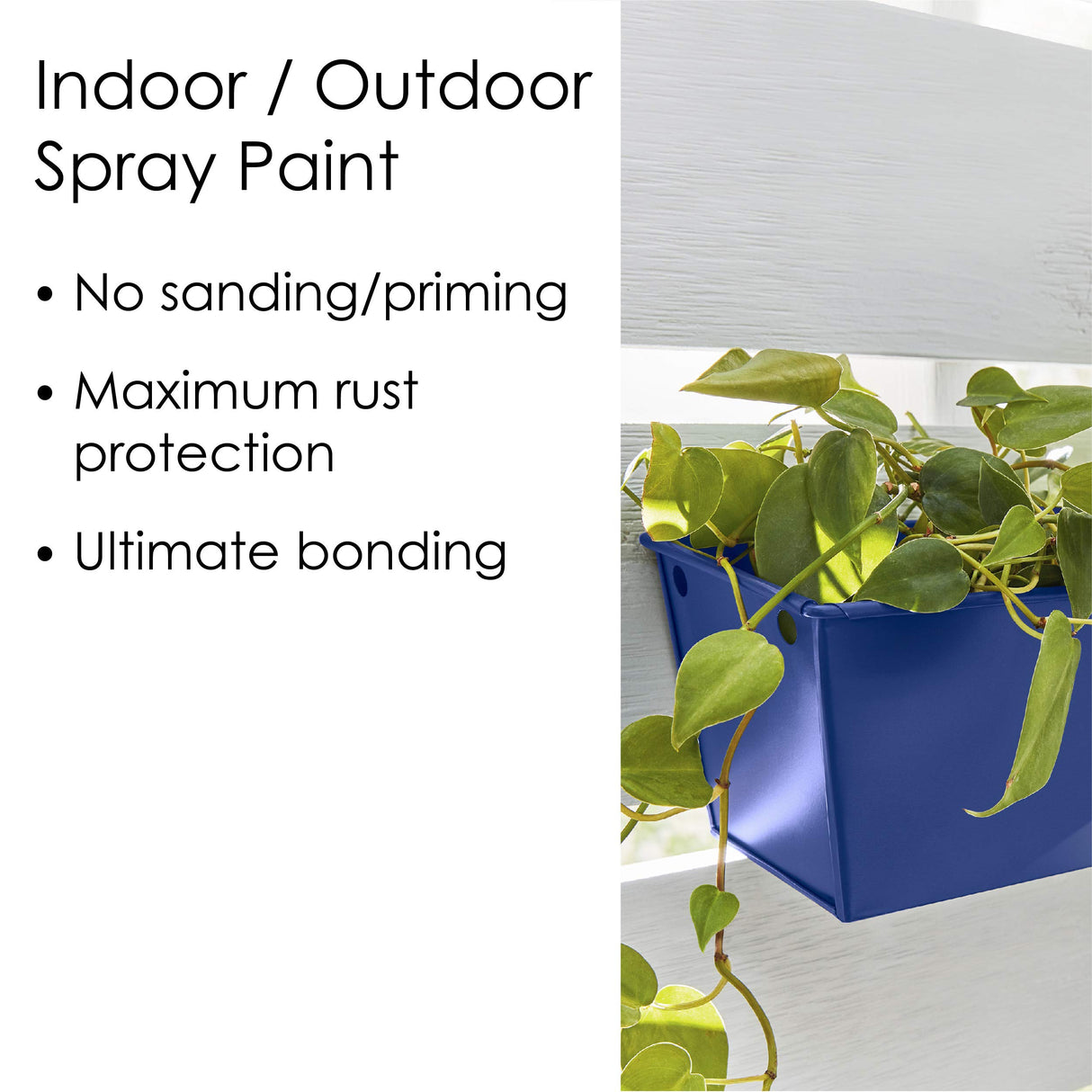 Krylon Fusion All-In-One Adhesive Spray Paint for Indoor/Outdoor Use, 12 oz, Clear Krylon