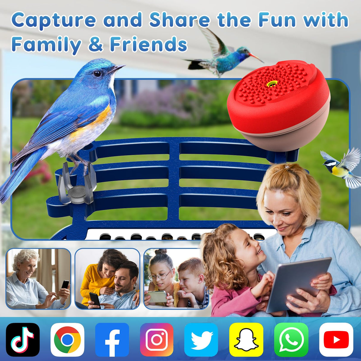 Smart Bird Feeder with Camera, 2.5K HD Bird Feeder Camera with Ai Identify, Auto Capture Videos & Motion Detection, Birdhouse Birdfeeder for Birds Lovers,Famliy,Friends VXTUYO