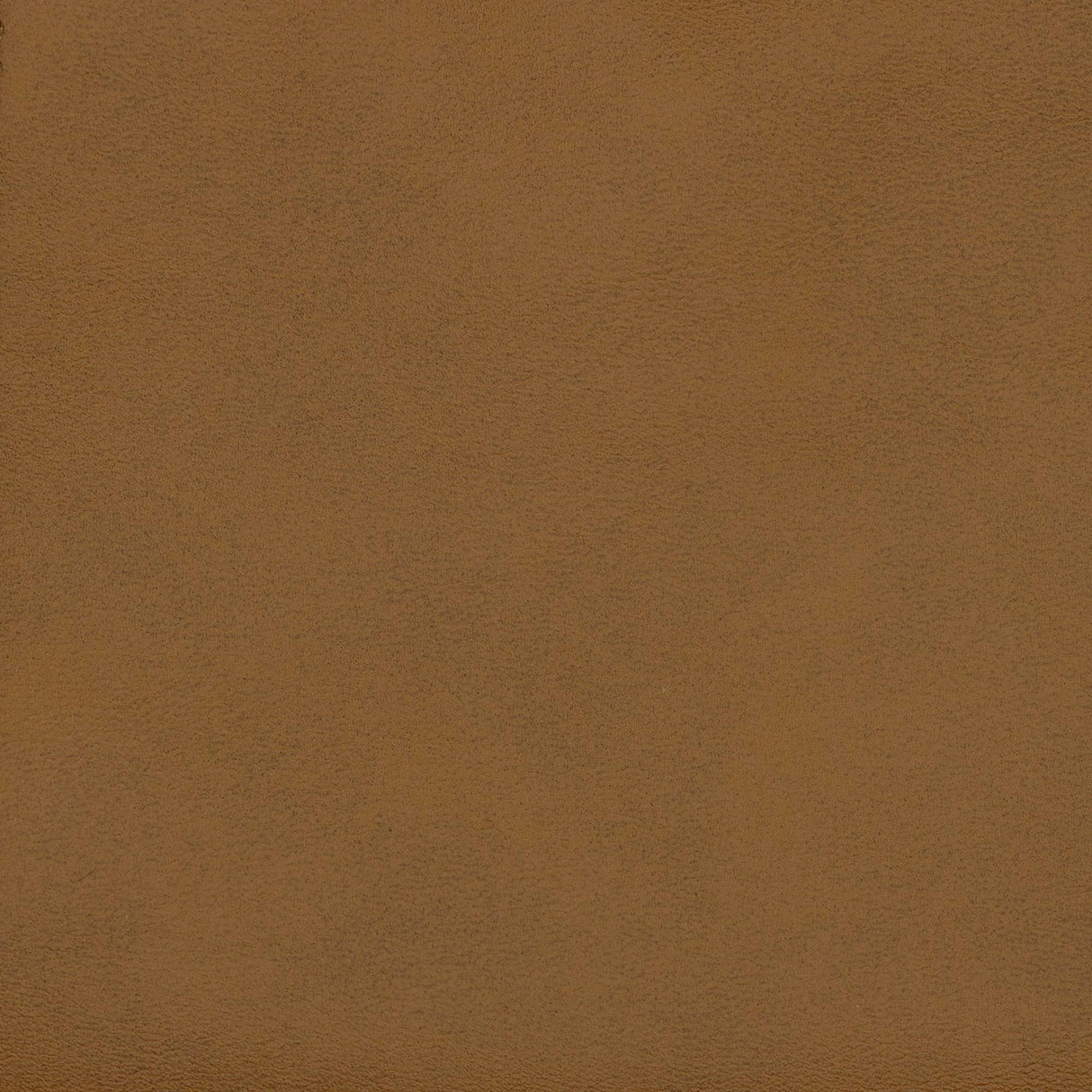 Modway Auren Vegan Leather 5 Piece Modular Sofa in Camel - Faux Leather L Shaped Sectional - Comfy Modern PU Leather Sofa - Oversized Mid Century Modern Couch for Living Room, Apartment Modway