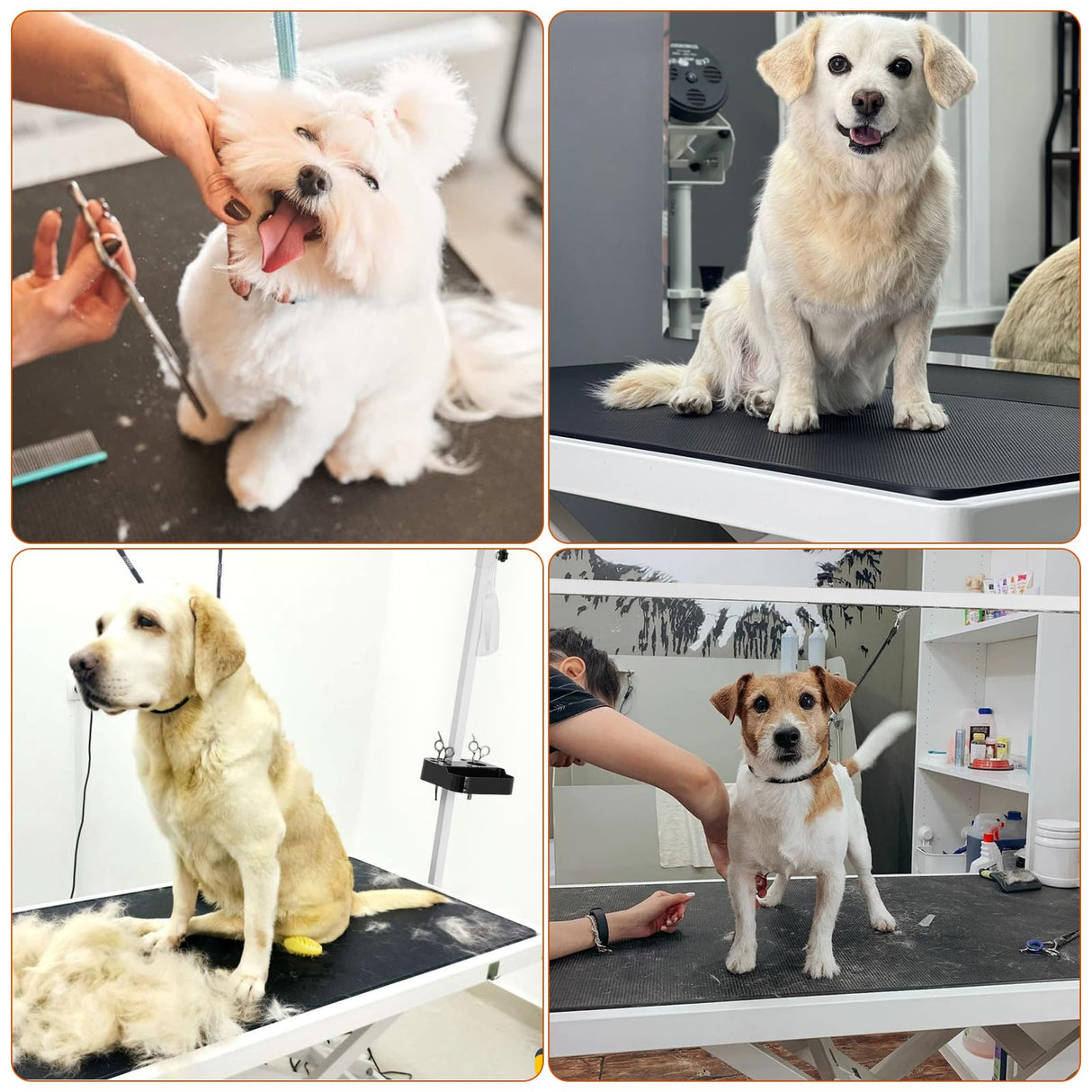 CIRONBOW 50'' Electric Dog Grooming Table, Adjustable X Lift Heavy Duty Dog Grooming Table for Large Dogs with Anti-Skid Tabletop & Grooming Scissors & Wireless Remote &Tool Organizer & Arms, White CIRONBOW