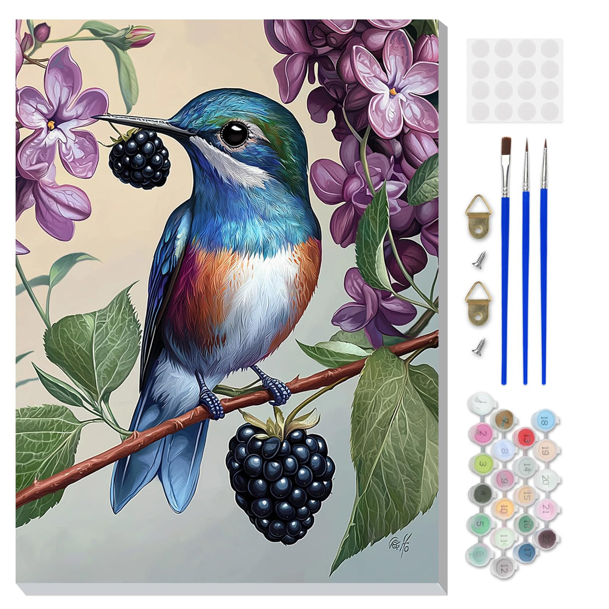 DOMROM Framed Paint by Numbers Kit for Adults Beginners with Wooden Easel, DIY Hummingbird Paint by Number Kit on Canvas, DIY Oil Painting Kits for Home Wall Decor Gift 12x16inch DOMROM