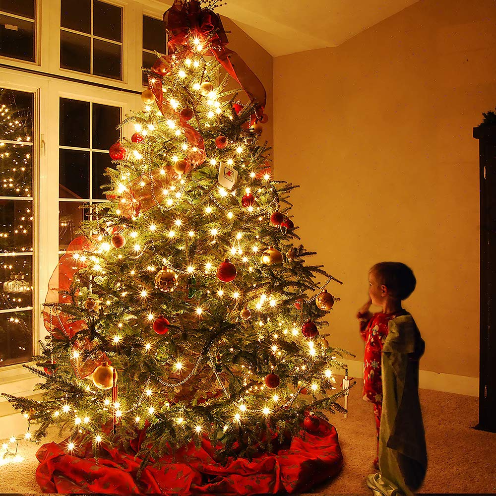 Brizled Warm White LED Christmas Lights, 2 Pack 33ft 100 Lights, Connectable for Trees, Home, Party, Indoor and Outdoor Decor Brizled