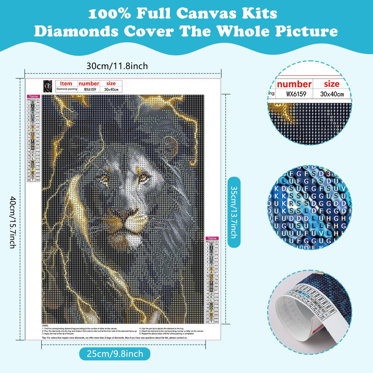 SENQAO Diamond Art Kits Black Lion 5D Diamond Art Kit Full Round Drill Painting Kit for Adults Beginner Lightning Painting with Diamonds Animal for Adults Home Wall Decor 30x40cm/11.8x15.7in SENQAO