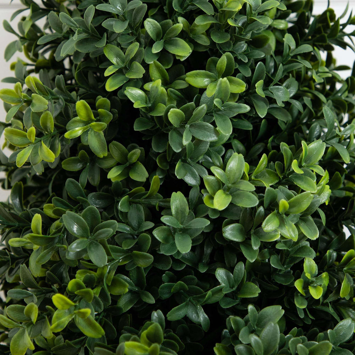 Nearly Natural 2.5ft. UV Resistant Artificial Boxwood Plant with Integrated Ground Stake (Indoor/Outdoor) - Set of 2 Nearly Natural
