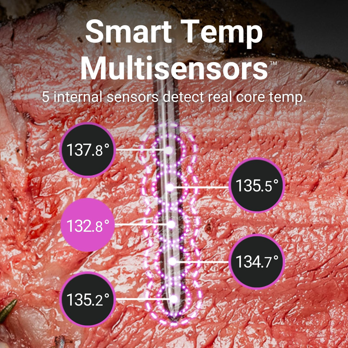 MEATER Pro: Smart Bluetooth Wireless Meat Thermometer Digital | 1000°F Heat Resistance | Long Range | Certified Accuracy | BBQ, Oven, Grill, Smoker, Air Fryer, Deep Fryer | 50+ Recipes in App MEATER