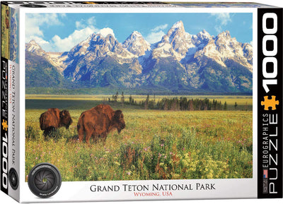 EuroGraphics Grand Teton National Park Photography by Steve Hinch 1000-Piece Puzzle