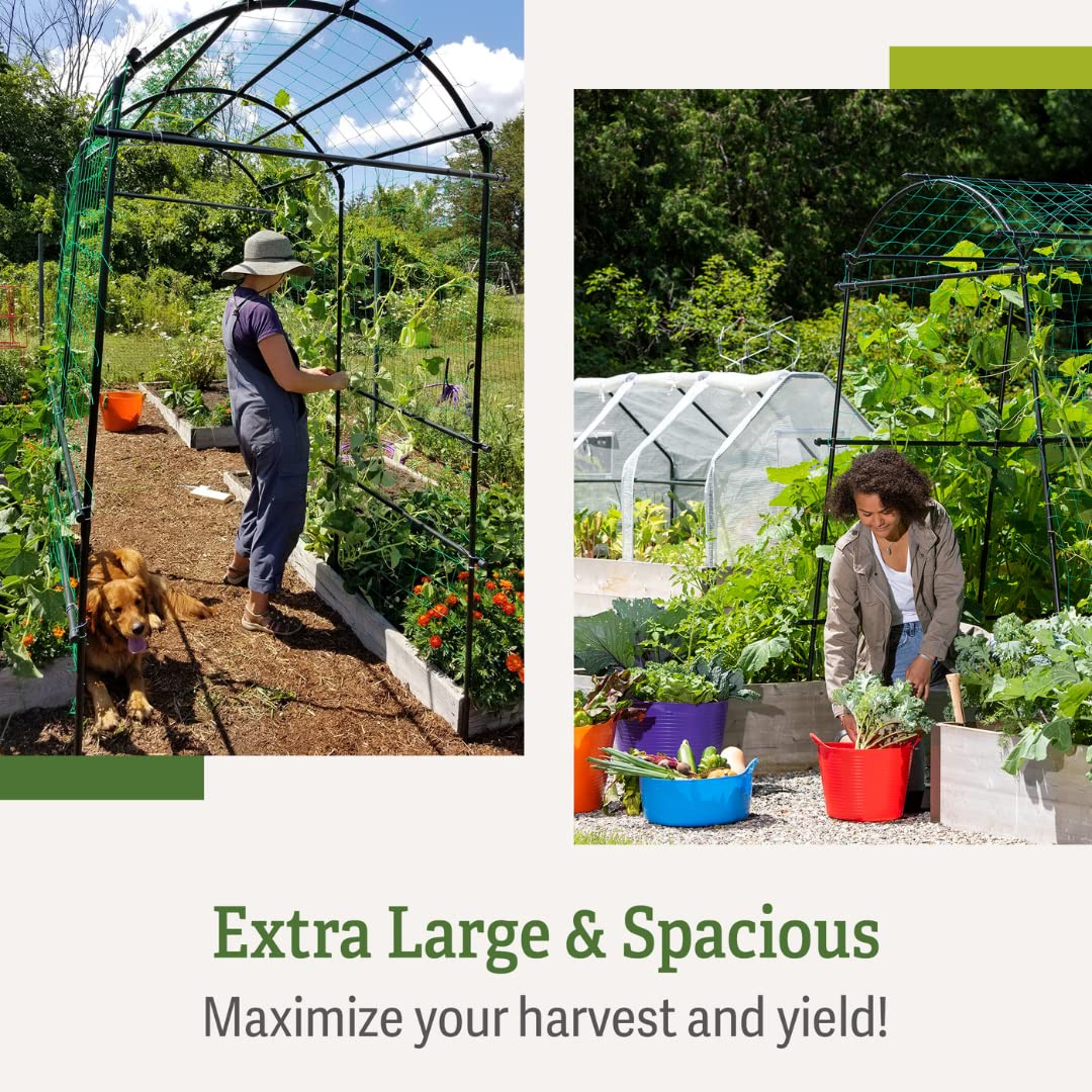 Gardener’s Supply Company Extra Tall Garden Arch Arbor | 80 Inch Tall Titan Squash Tunnel | Lightweight Metal, Trellis Plant Stand for Climbing Vines | Outdoor Lawn Tower & Support Structure Gardener's Supply Company