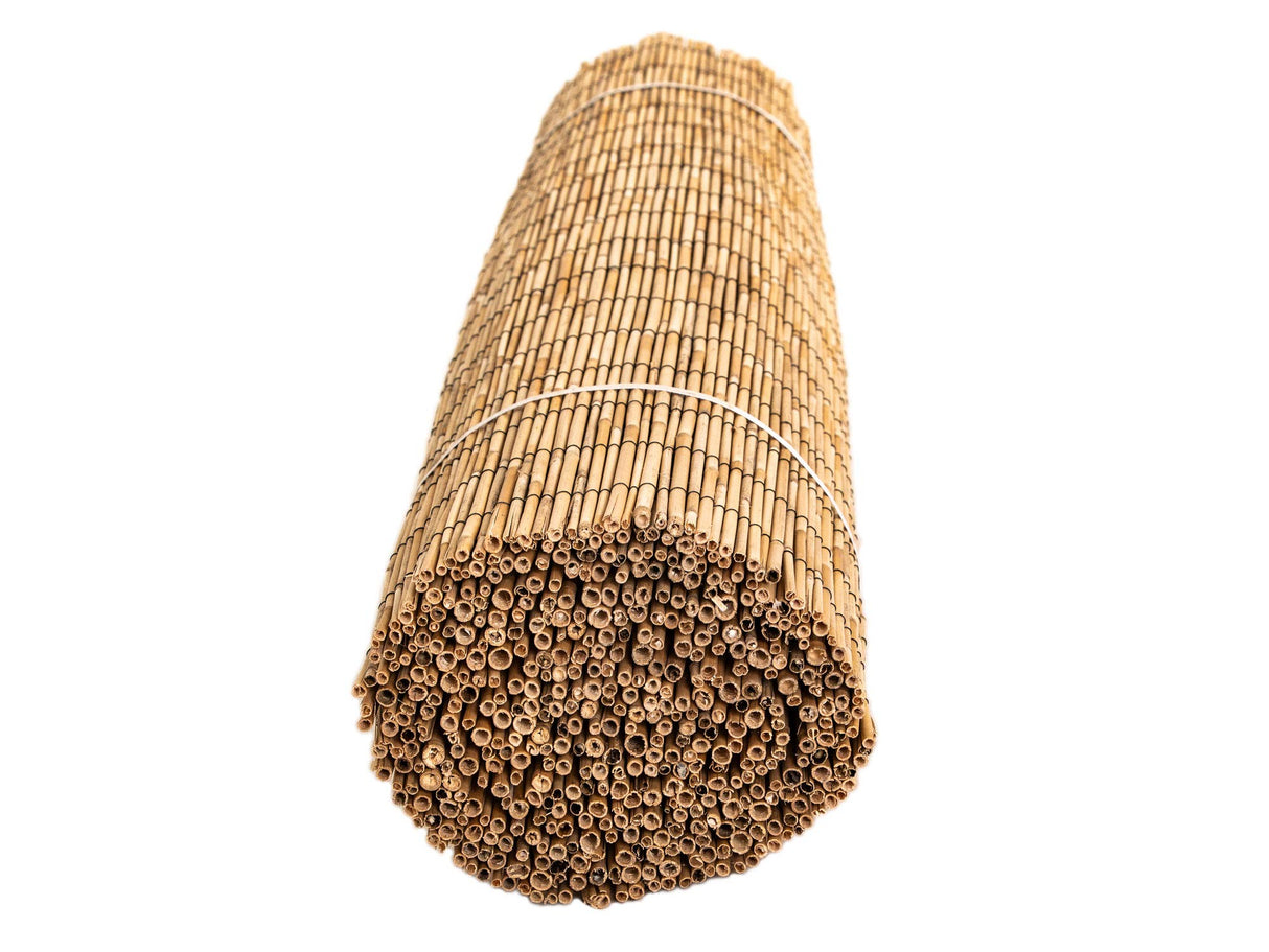 FOREVER BAMBOO Jumbo Reed Bamboo Screen Fencing Privacy Fence Backyard Divider Decorative Reed Garden Fencing, Natural 6 ft H x 16 ft L FOREVER BAMBOO