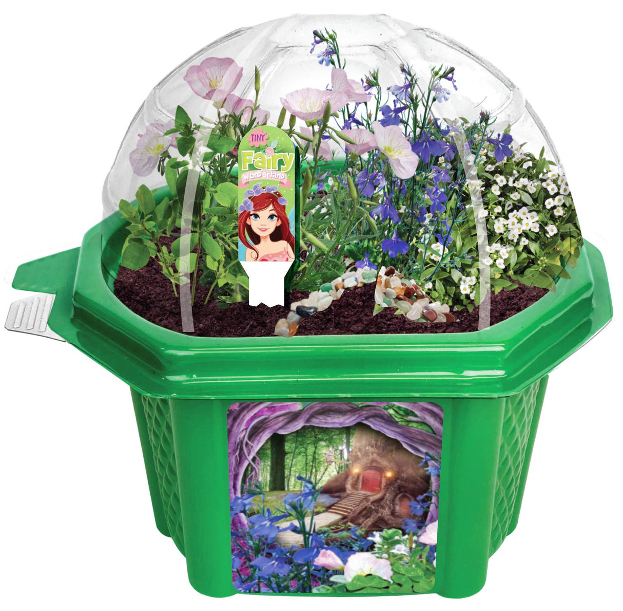 Grow Your Own Mini Fairy Wonderland Microdome Terrarium Starter Kit, Enjoy Sweet Scented Flowers and Grow Indoor Terrariums - Includes Complete Supplies to Create Your Magical Plant Garden TOYS BY NATURE