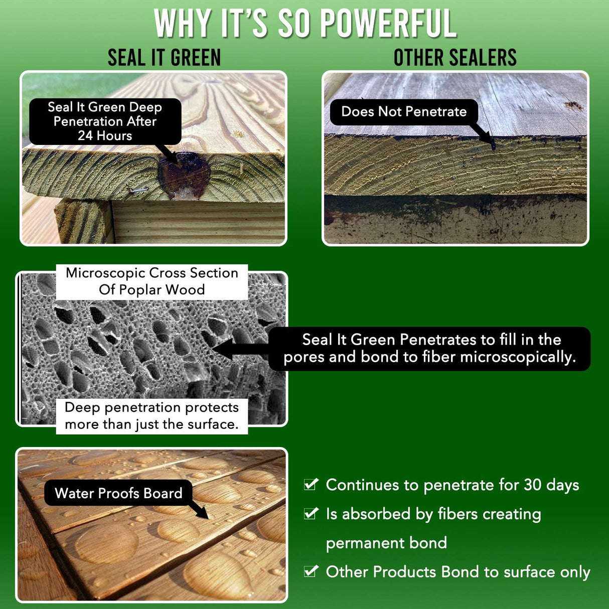 Garden Box Sealer | FDA Food Contact Safe Plant-Based Wood Sealant for Raised Beds, Planters & Pet Houses. Protects All Wood Types from Water & Weather Damage | Eco-Friendly Sustainable Solution Seal It Green