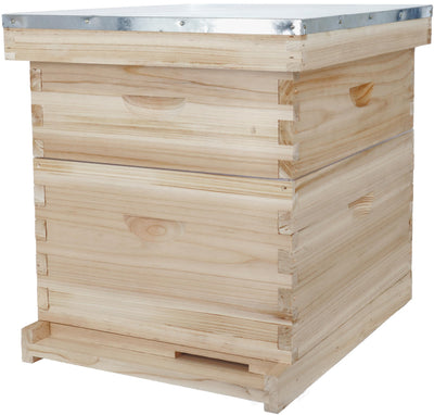 BeeCastle 8 Frame Langstroth Bee Hive, Beehive Starter Kit for Beginners with Beehive Frames and Waxed Foundation (1 Deep Box & 1 Medium Box)