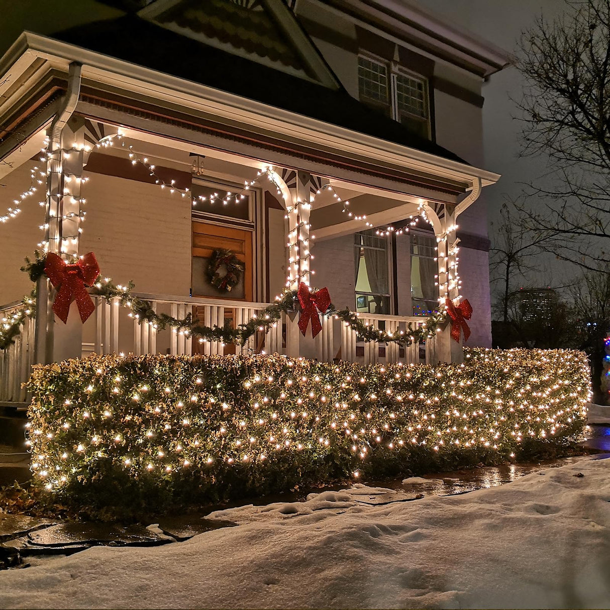 Eueasy LED Net Lights, 270 LED 10x10FT with Timer & 8 Lighting Modes, Outdoor Net Lights for Gazebo, Bush, Wedding, Holiday Eueasy