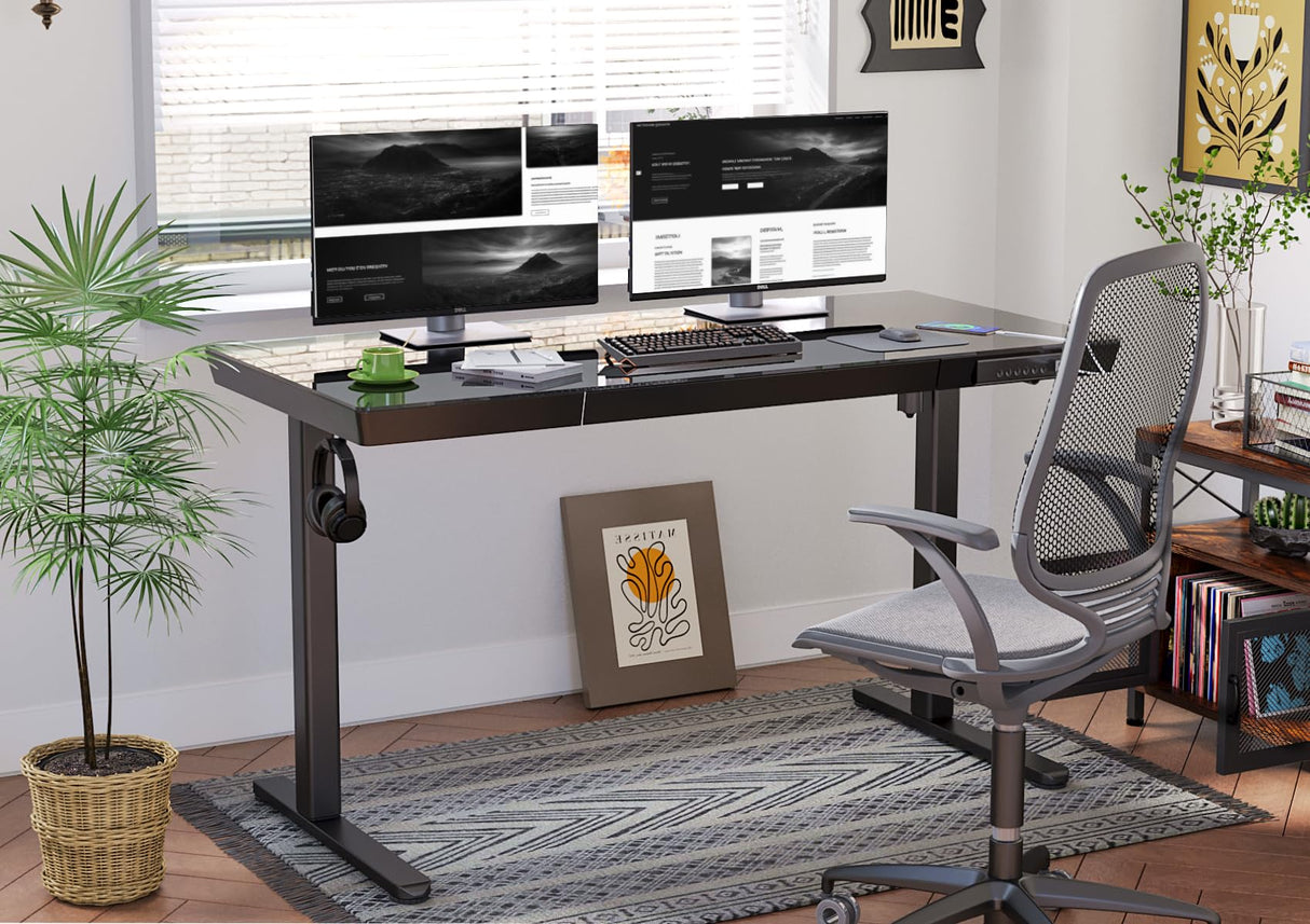 YDN Glass Standing Desk with Drawers, 55 x 24 Inch Electric Stand Up Desk with USB Ports, Adjustable Height Desk for Home Office, Black YDN