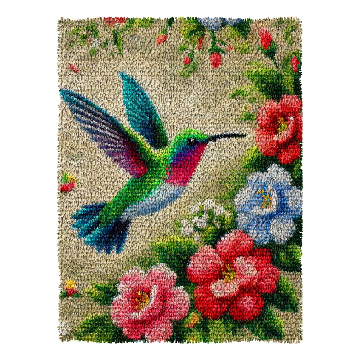 MIAOLLUN Hummingbird Flower Latch Hook Kits for Adults Kids, DIY Bird Pre-Printed Canvas Rug Cushion Making Craft Embroidery Crochet Yarn Kit 52X38cm MIAOLLUN