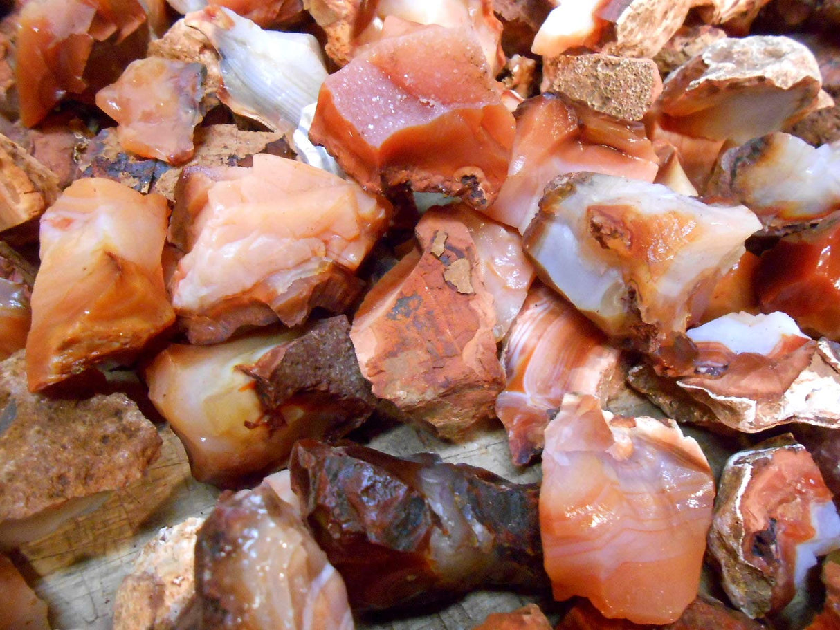 Rockhound's 1st Choice Rock Tumbler Gem Refill Kit -Amazing African Carnelian Agate Rough- 8 oz New Rockhound's 1st Choice