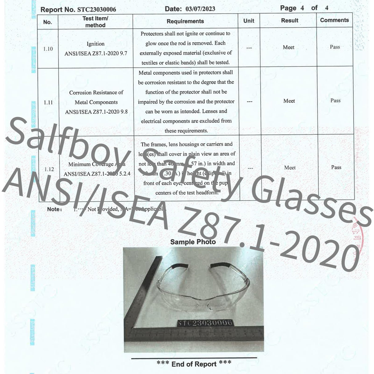 Salfboy 10 Pack Clear Safety Glasses with ANSI Z87.1 Scratch Resistant Eyewear for Women Man Lab Goggles Eye Protection Salfboy