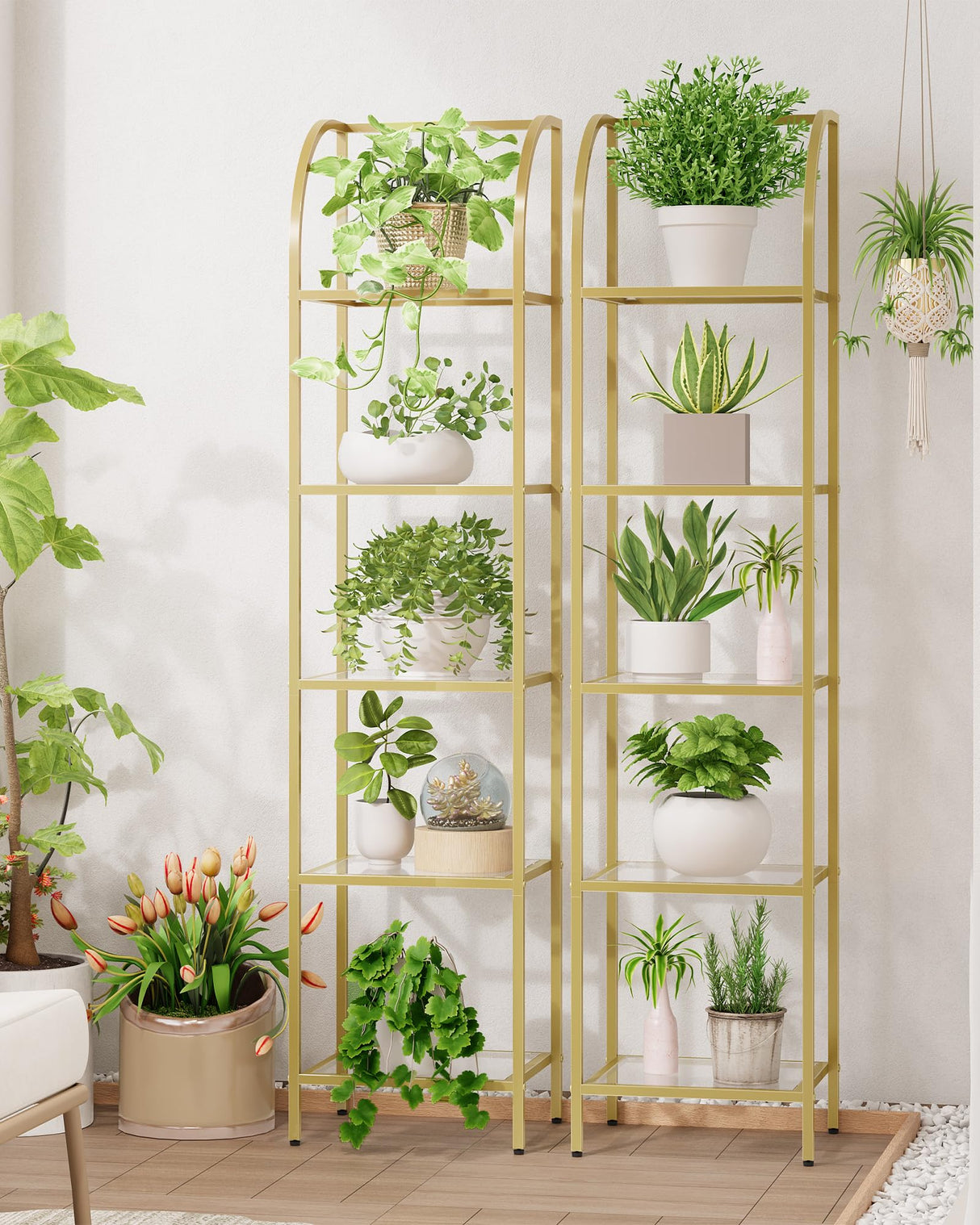 Hzuaneri Bookcase Bookshelf, Tempered Glass Arched Bookshelf for More Storage, Slim Shelving Unit for Bedroom, Bathroom, Home Office, Steel Frame, 5 Tier Gold BC20599G Hzuaneri