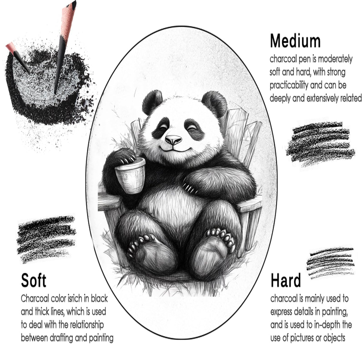 Daerthotk Charcoal Pencils Drawing Set, 12 Pieces Soft, Medium and Hard Black Sketch Charcoal Pencils for Drawing, Sketching, Shading, Blending, Artist Pencils for Beginners & Pro Artists Daerthotk