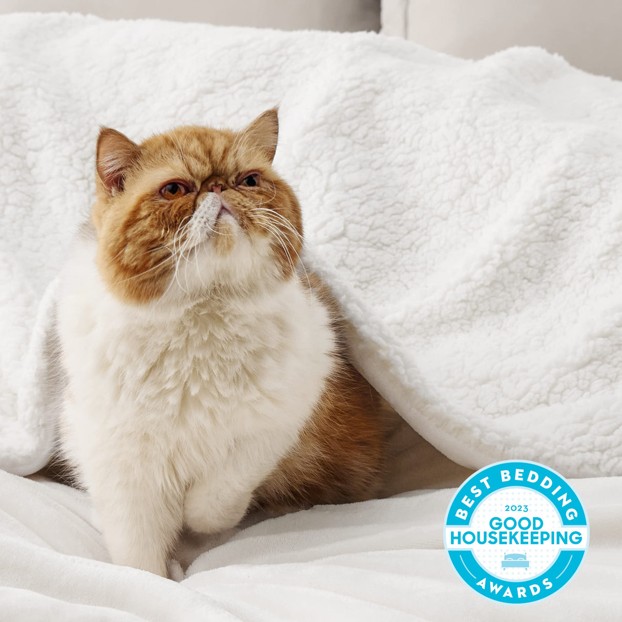 Bedsure Sherpa Fleece Throw Blanket for Couch - Thick and Warm Blanket for Winter, Soft Fuzzy Plush Throw Blanket for All Seasons, White, 50x60 Inches Bedsure