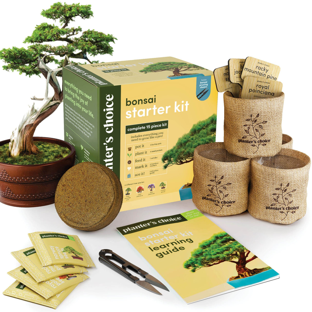 Bonsai Starter Kit - Gardening Easter Gift for Women & Men - Bonsai Tree Growing Garden Crafts Hobby Kits for Adults, Unique DIY Hobbies for Plant Lovers - Unusual Christmas Gifts Ideas Planters' Choice