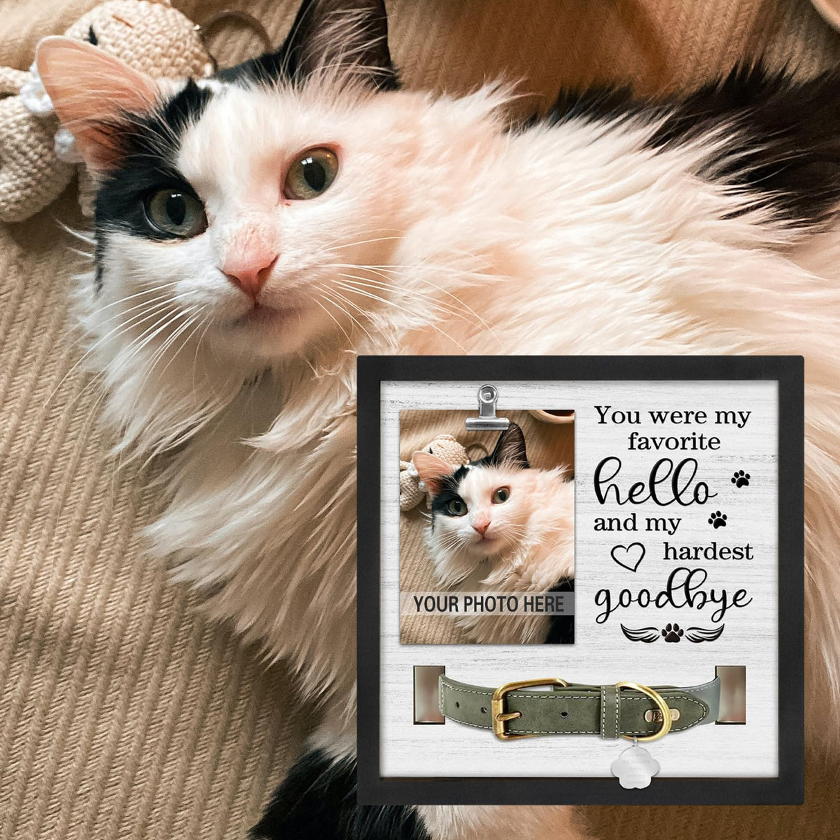 PUREFLY Dog Memorial Gifts for Loss of Dog, Loss of Dogs Sympathy Gift Pet Loss Sympathy Frame with Collar Holder, Pet Cat Remembrance Bereavement Gift PUREFLY