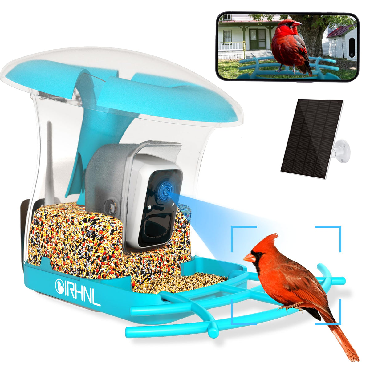 OIRHNL Smart Bird Feeder with Camera,AI Identify Birdwatching Camera with Solar Powered-Motion Activated & Watching HD Bird Video,Transparent OIRHNL