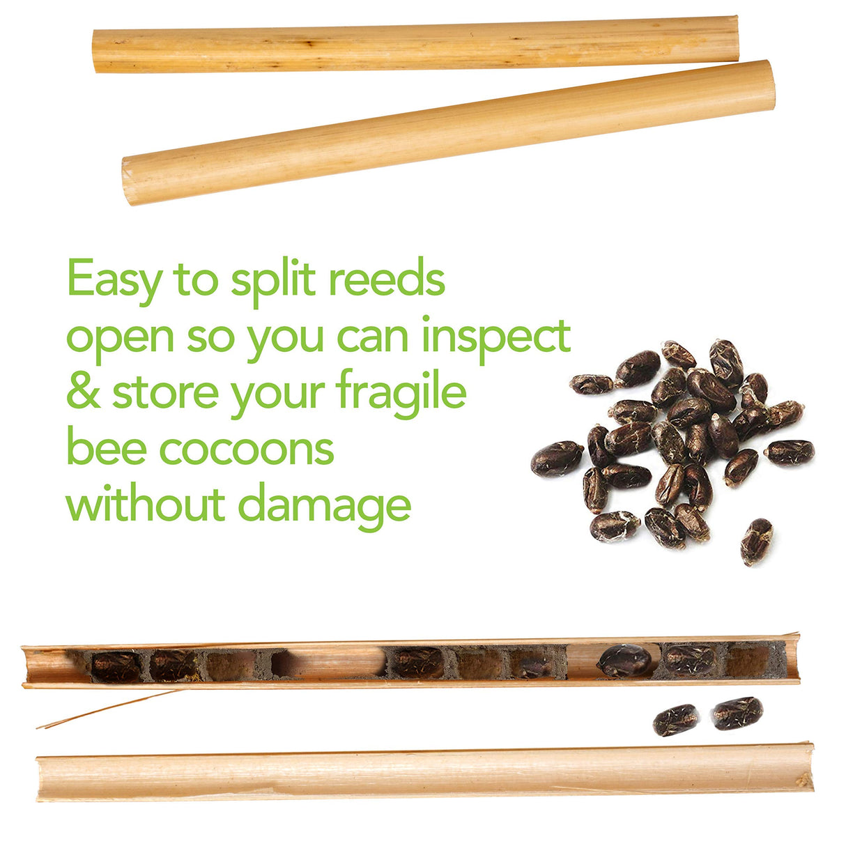 Rivajam Mason Bee House Wax Coated Nesting Bee Box | Refillable Phragmite Reed Mason Bee Tubes Filled Pollinator House | Mason Bee Houses for The Garden Rivajam