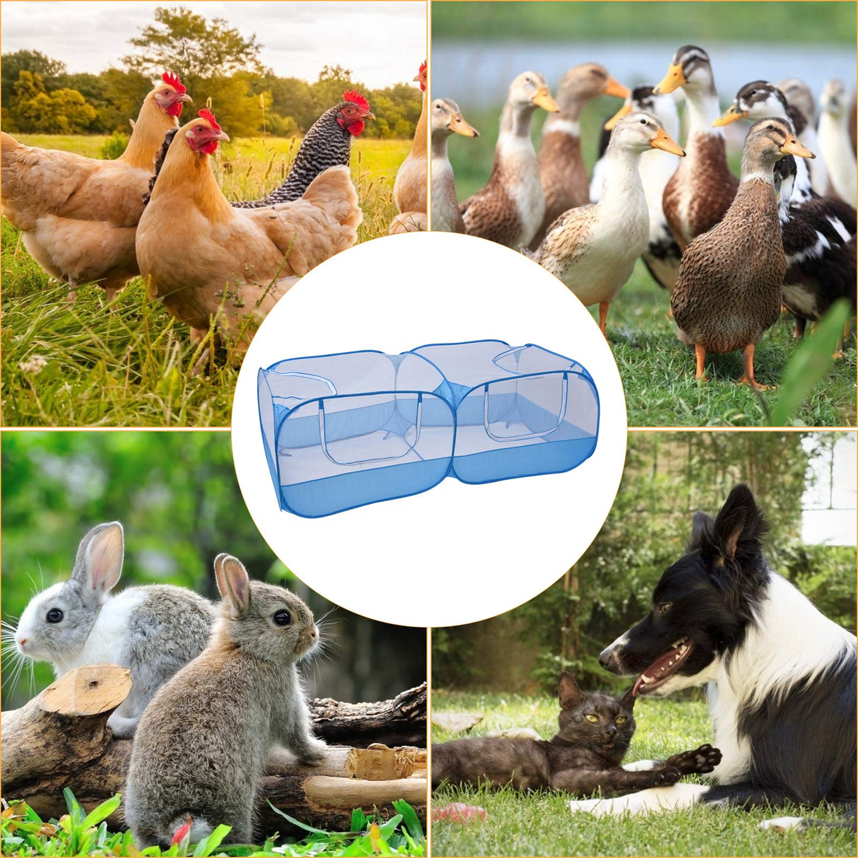 Jhua Pet Playpen for Small Animals, Portable Chicken Run with Cover, Foldable Chicken Coop Outdoor, Play Pens for Small Pets with Transparent Mesh Walls for Chicken Duck Puppy Cat Rabbit (Blue) Jhua