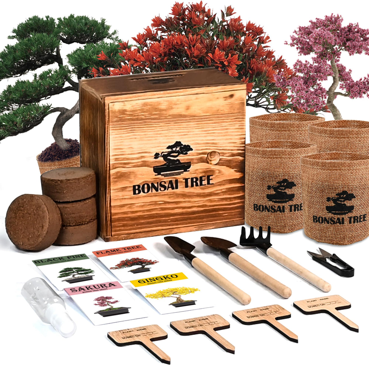 Sproutix Bonsai Garden Starter Kit, 4 Seeds Growing into Sakura, Ginkgo, Black Pine, Red Flame, Including Complete Gardening Tools & A Wooden Box with Cover, Christmas Gifts for Men Women Beginners SPROUTIX