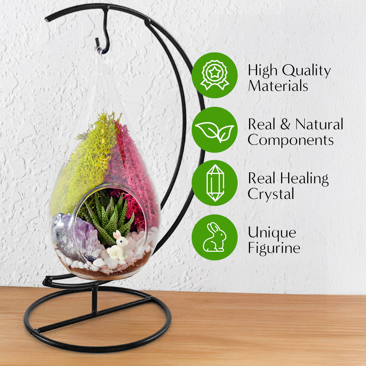 Creations by Nathalie - Plant Terrarium Kit W/Live Succulent (Fresh from Florida), Choose Your Glass DIY Terrarium Starter Kit for Adults, Metal Stand, Reindeer Moss, Crystal & Rocks, Tools, Figurine Creations by Nathalie