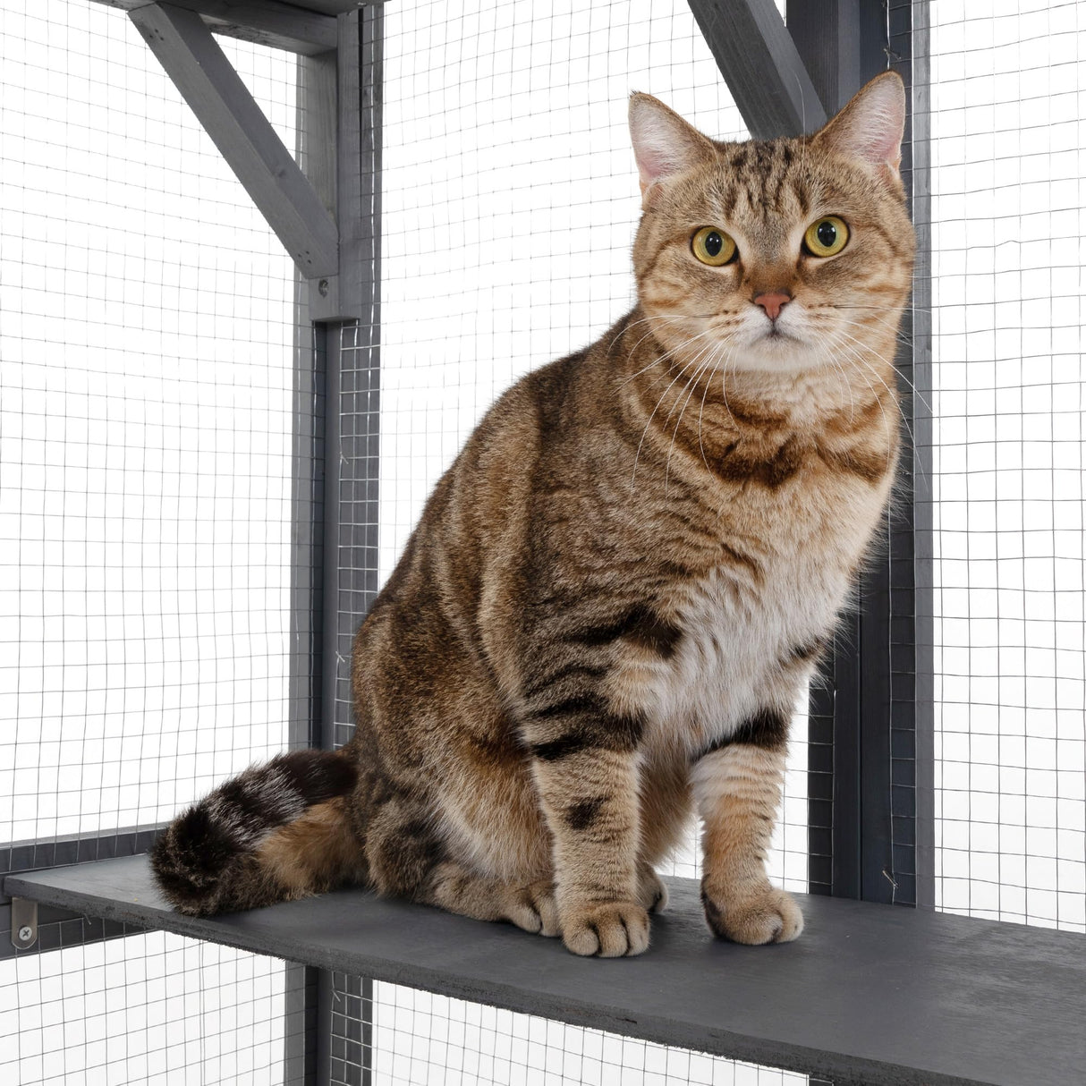 coivvovv Large Cat House Outdoor Catio - Cat Play & Run Enclosures Indoor Kitty Window Cage with Waterproof Roof, 7 Platforms & 2 Resting Box, UV Resistant, 62.4" L x 32.4" W x 70.1" H, Grey cozivvovv