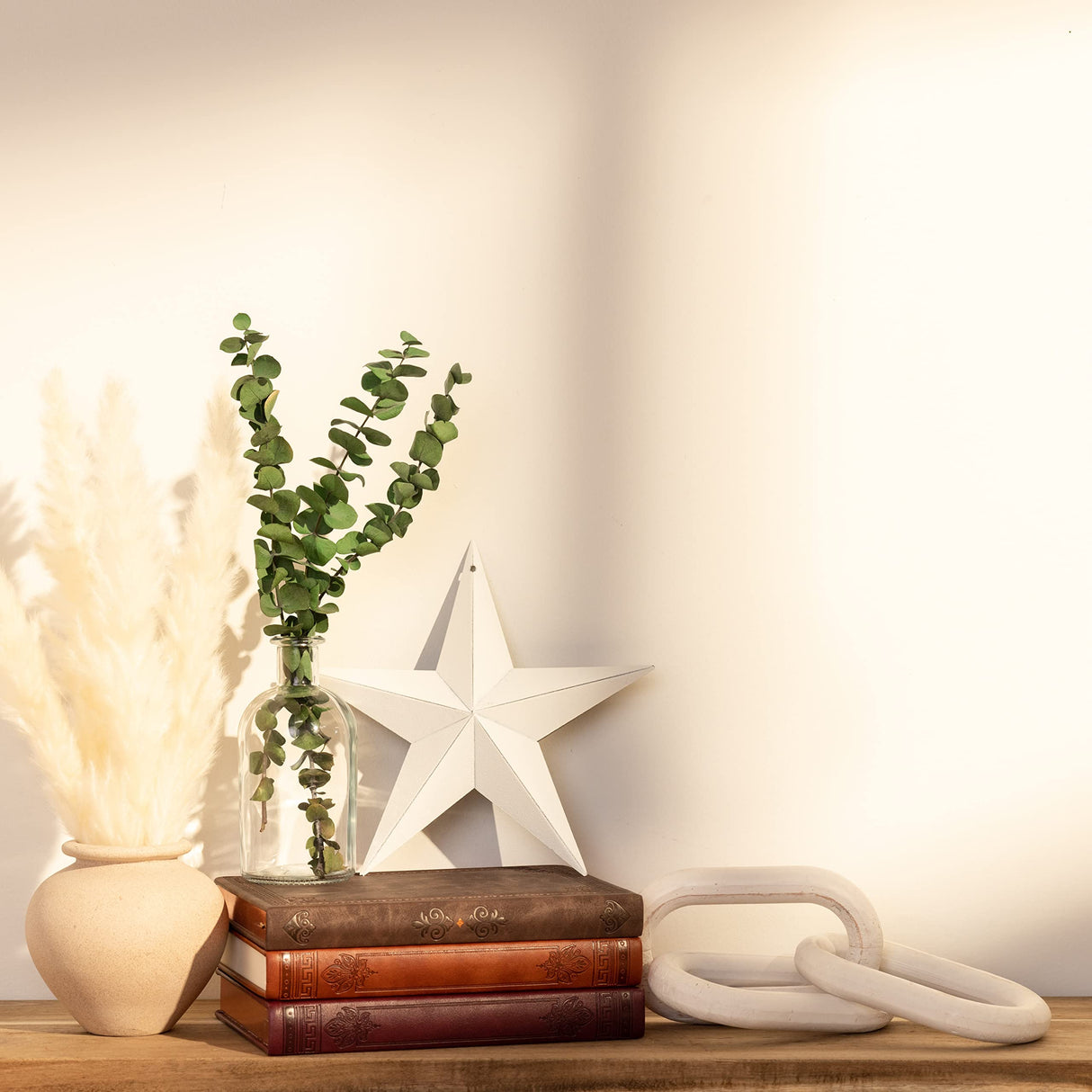 CWI Gifts Metal Barn Star - 8 inch Galvanized Hanging Star - Farmhouse Wall Decor - White CWI Gifts