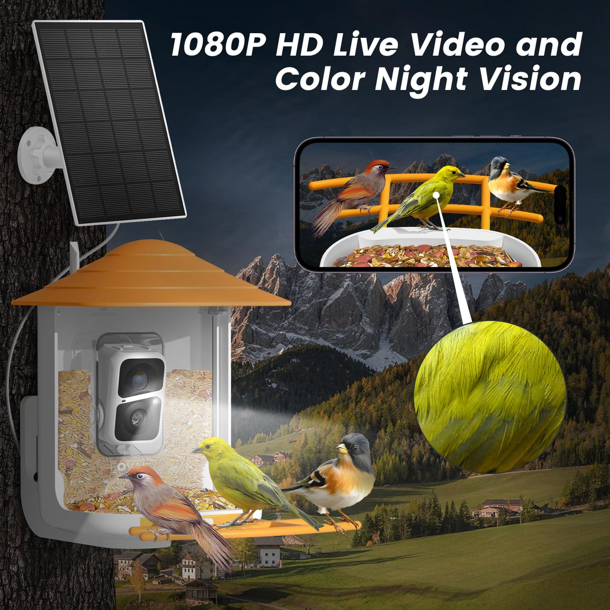 FOVAL Bird Feeder with Camera, Smart Bird Feeder Camera with AI Identify Bird Species, Auto Capture Bird Videos & AI Motion Detection, 5W Solar FOVAL