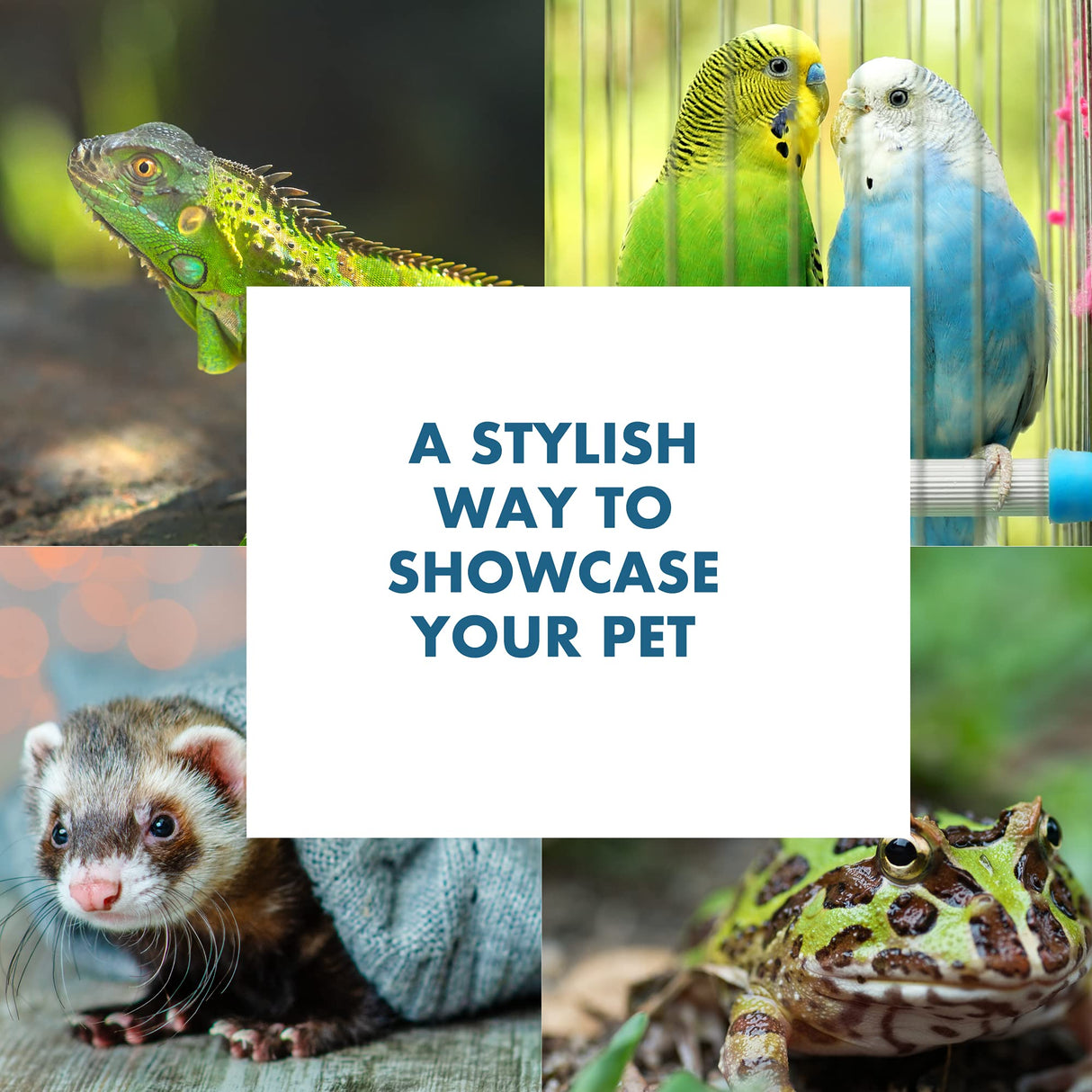 TitanEze 55 Gallon Double Aquarium Stand (2 Stands in 1), Fish Tank Stand, Bird Cage Stand, 50.5" W x 32" H x 13" D Caitec